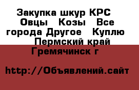 Закупка шкур КРС , Овцы , Козы - Все города Другое » Куплю   . Пермский край,Гремячинск г.